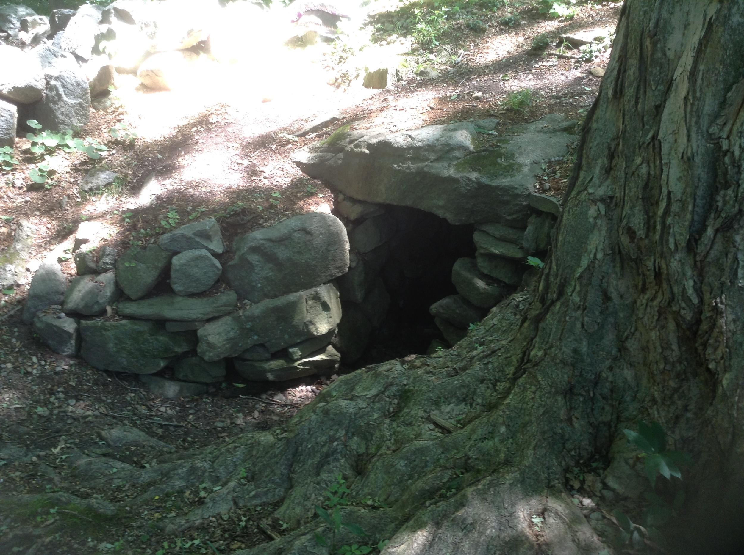 Above: the entrance to the passage. The chamber itself is underground and is approached from the left side of the entrance as one faces the opening. Compare to the images of the chamber from five years ago, in the first blog post linked above. 