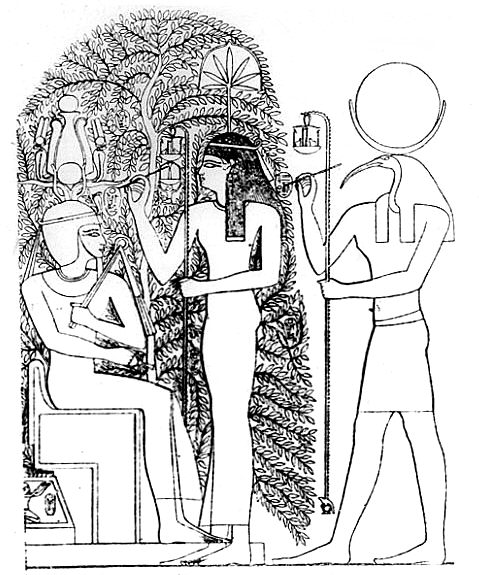 image: Wikimedia commons ( link ).