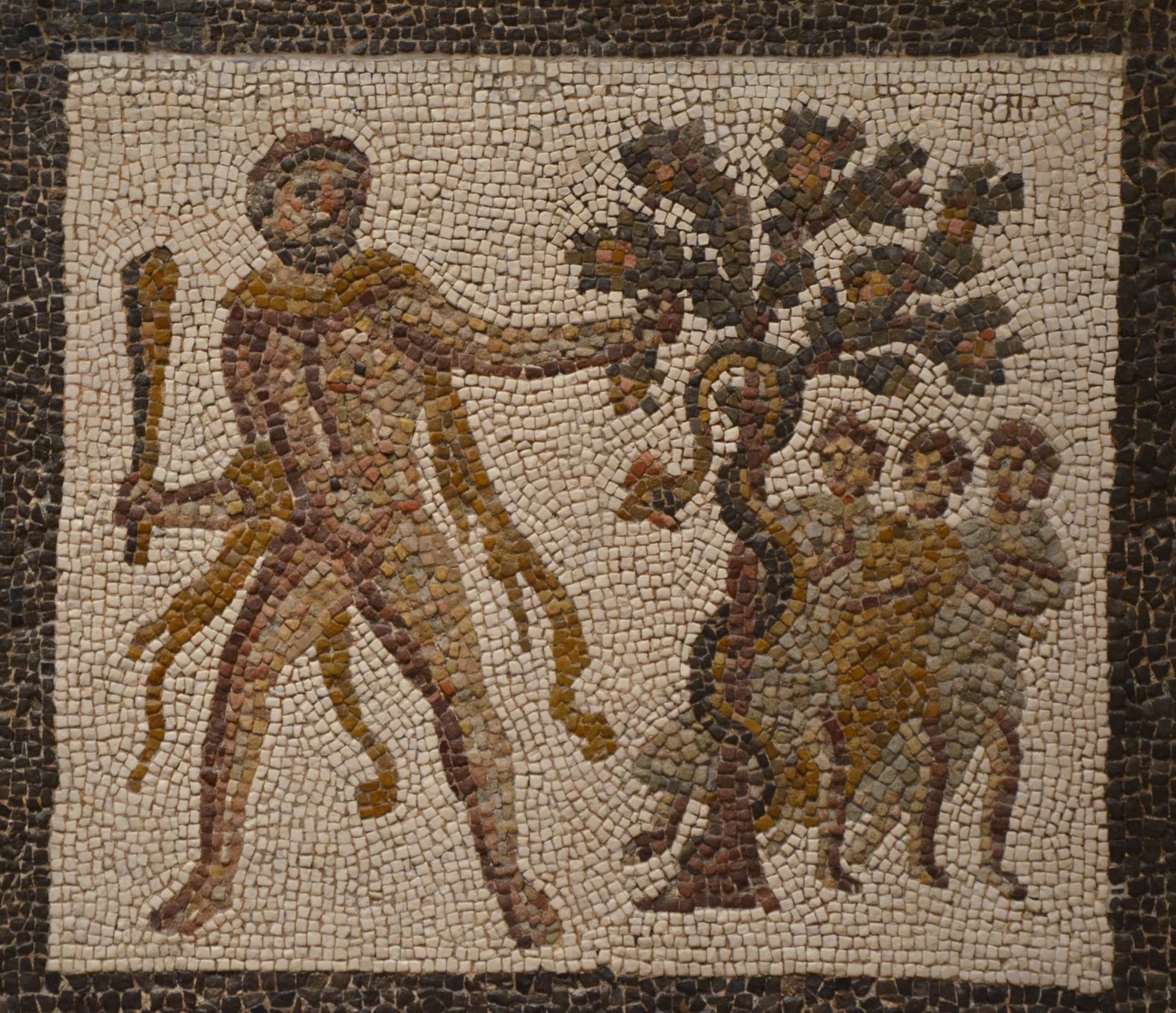 image: Wikimedia commons ( link ).