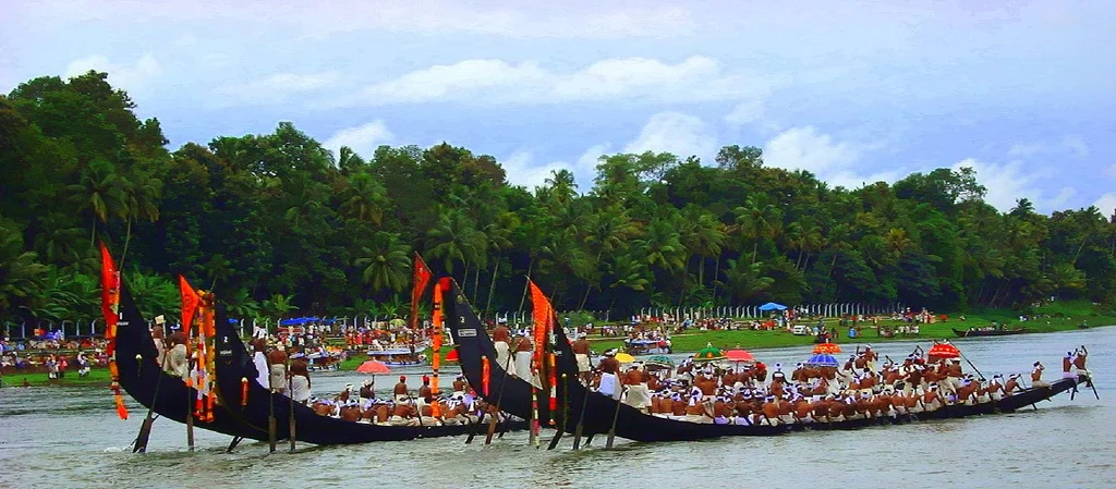 image: Wikimedia commons ( link ).