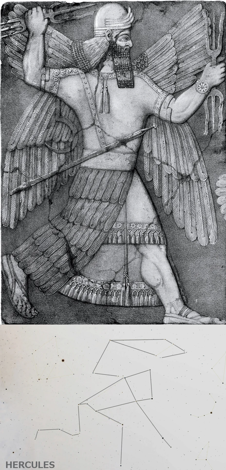 hercules marduk.jpg