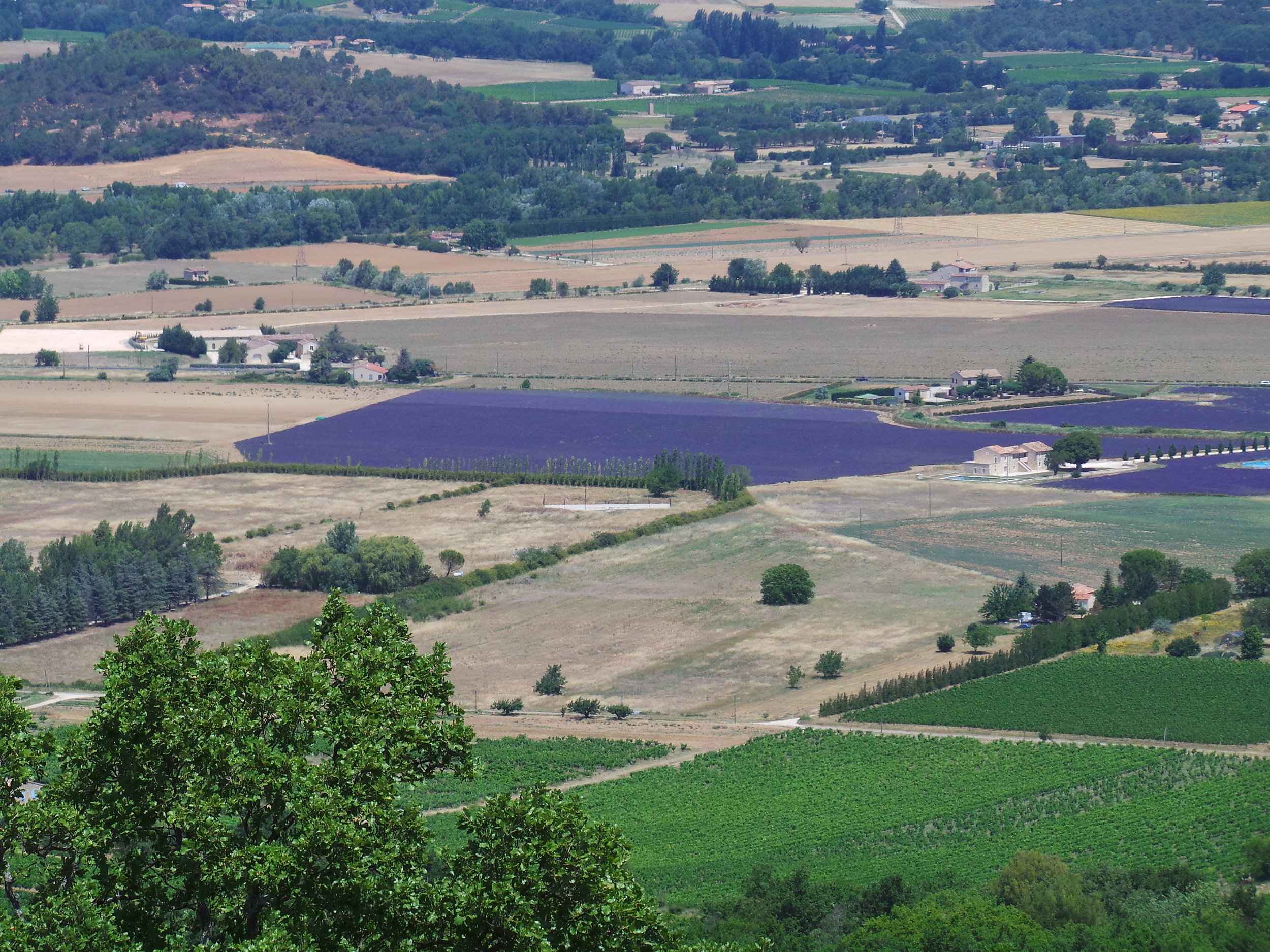 20120101_131748.JPG