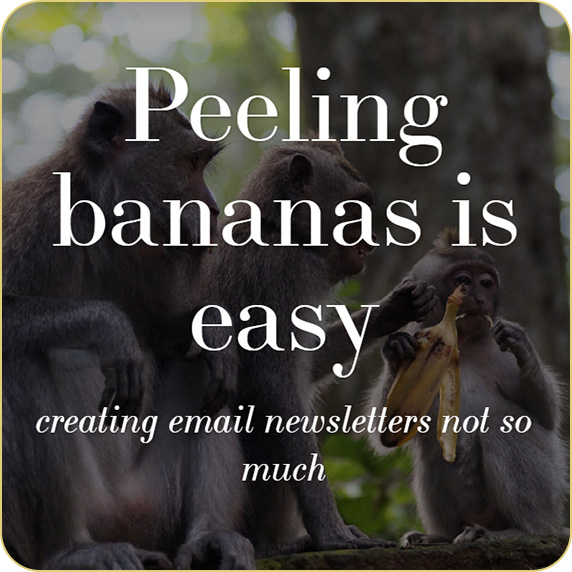 monkeys-email-newsletters-round.jpg