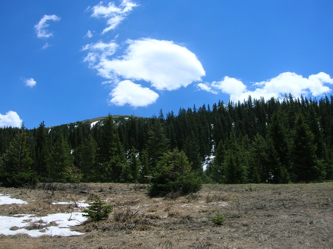   The Park. Trail Ridge Tour.  