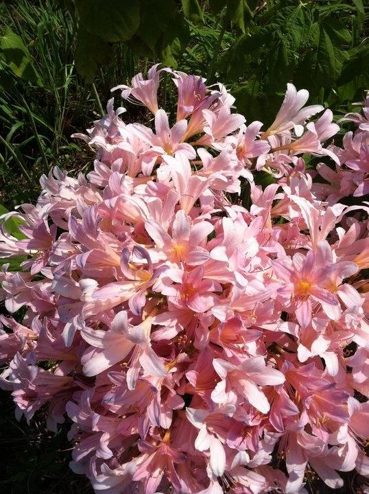 Perspicacity - Chapter 1: The End