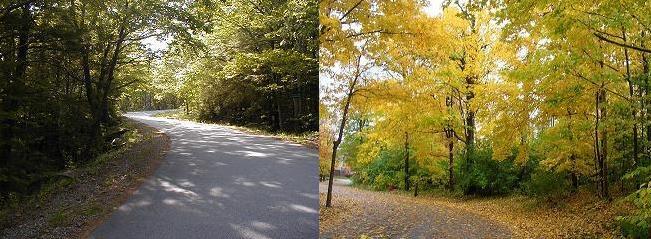 Ogunquit / Inidanapolis