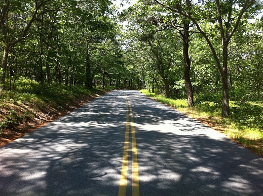 Cahoon Hollow Road2.JPG