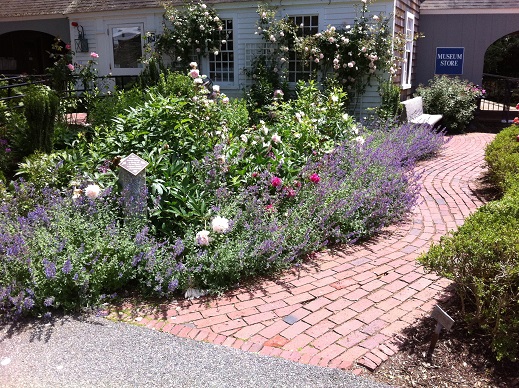 heritage cottage garden.JPG