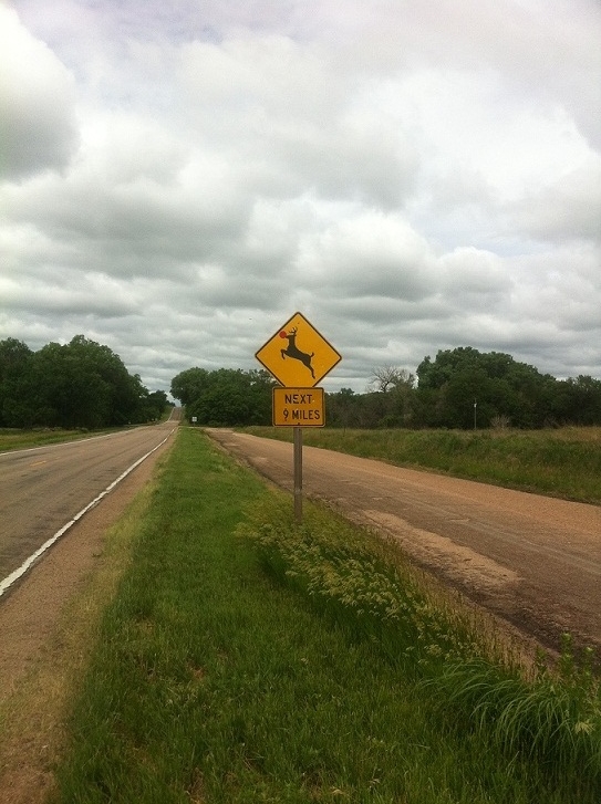   Nebraska hoodlums.  