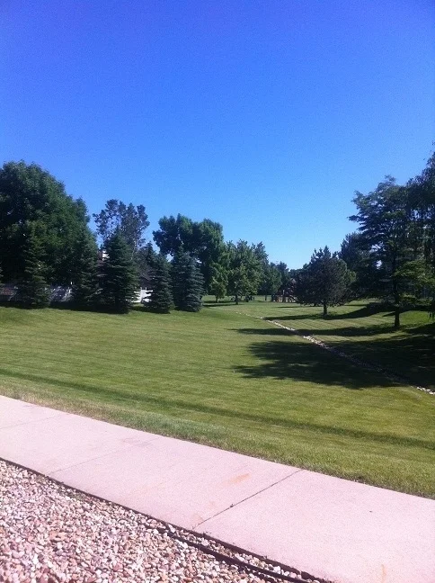 South Meadows Park in the Hood.