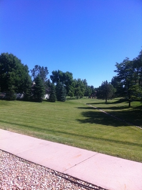   South Meadows Park in the Hood.  