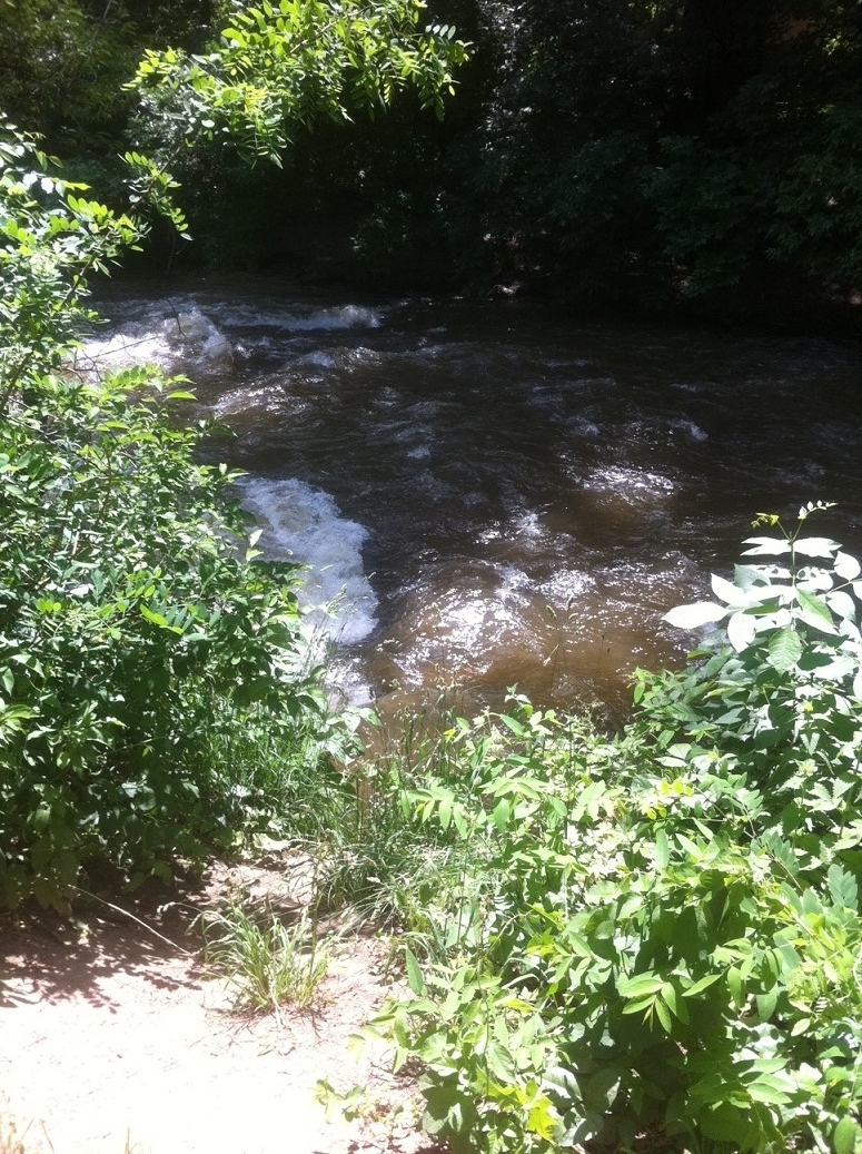 Monday, June 27th by the Boulder Creek Path