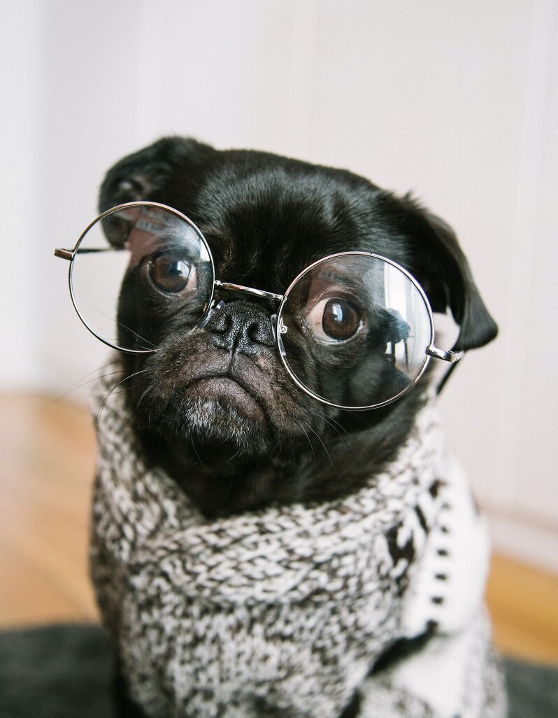 Lost: All Semblance of a Sense of Humor. Reward, if Found: Air Fryer Food and No Questions Asked.