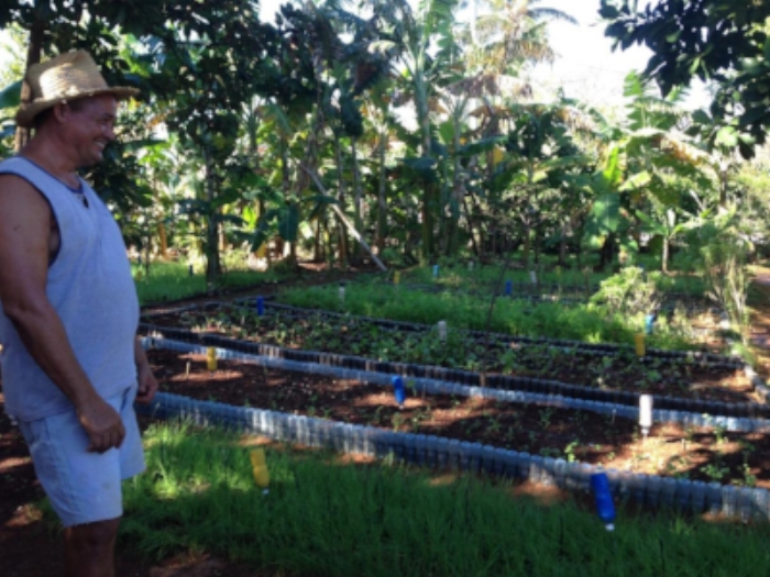Jesus showing us his farm.