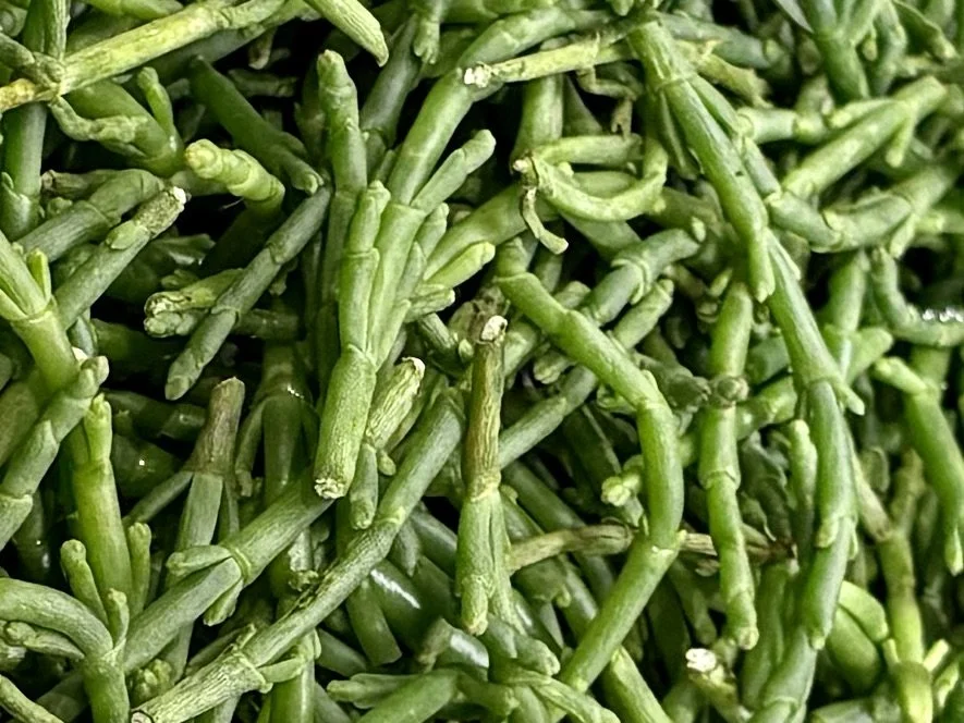 Samphire:  The Asparagus of the Sea