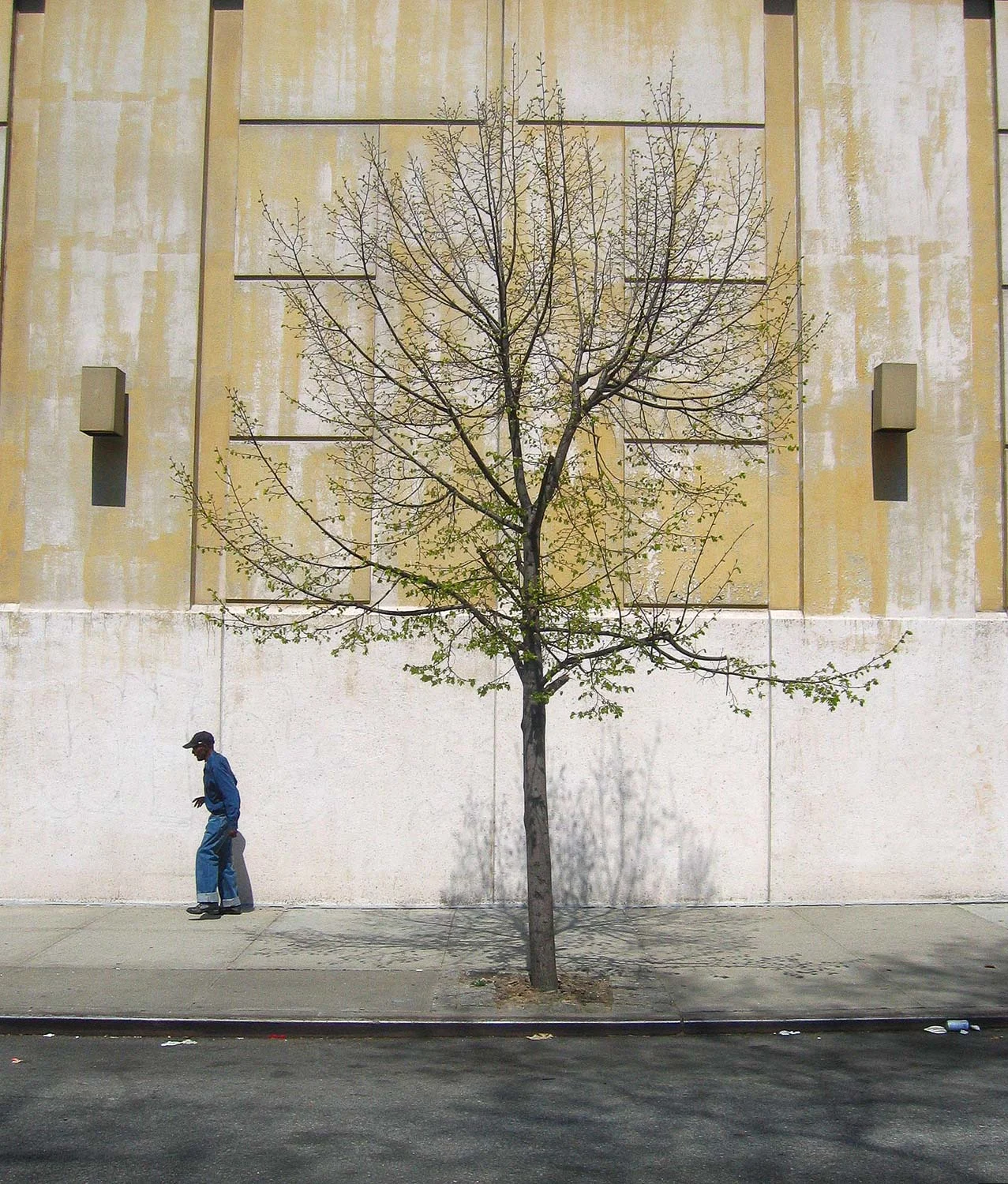 manandtree.jpg