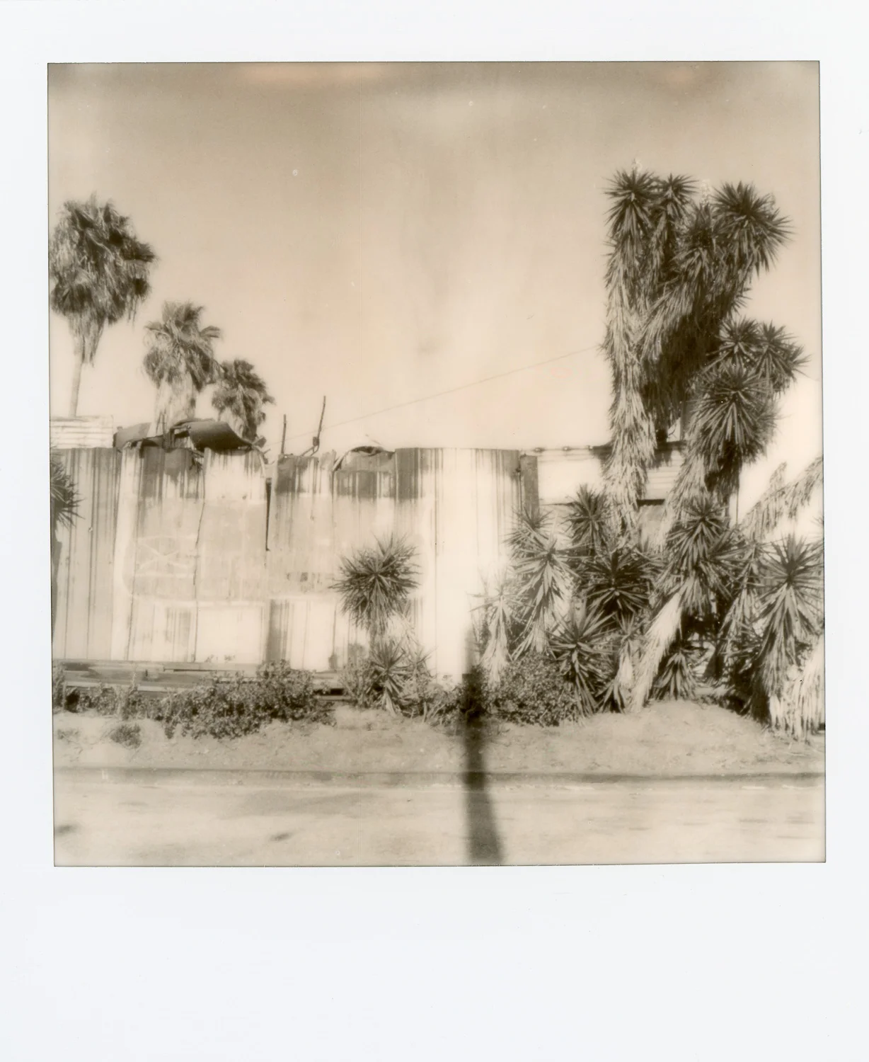 pola_600_524.jpg