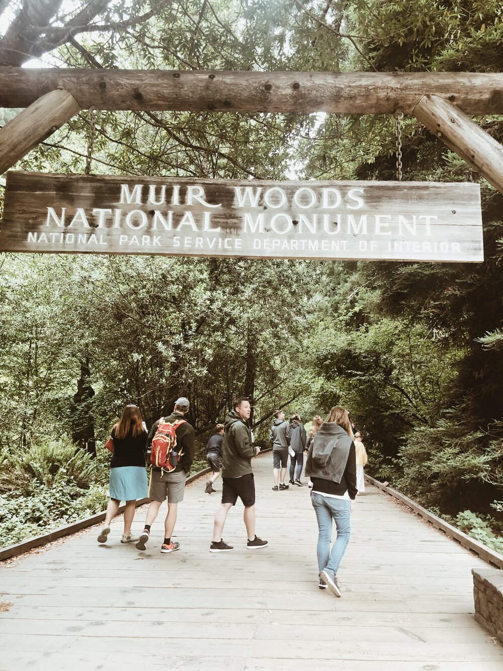 Muir Woods, San Francisco