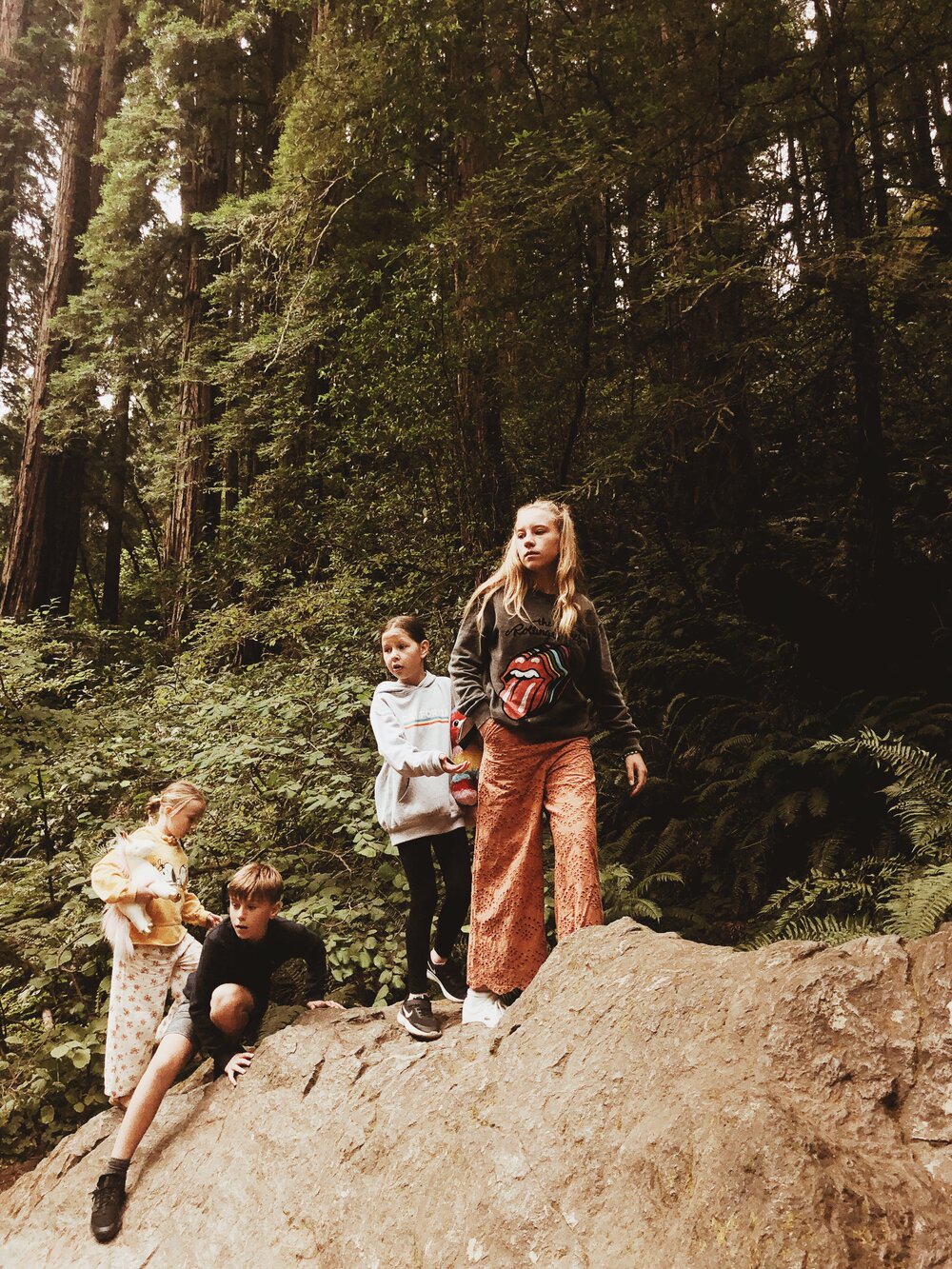 Muir Woods, San Francisco