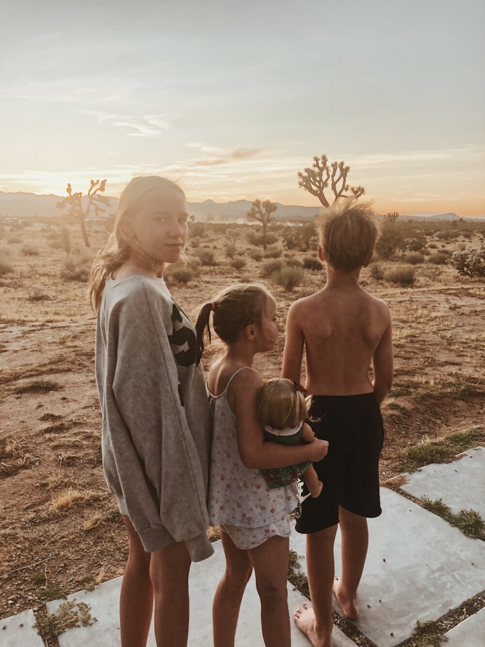 Yucca Valley Joshua Tree