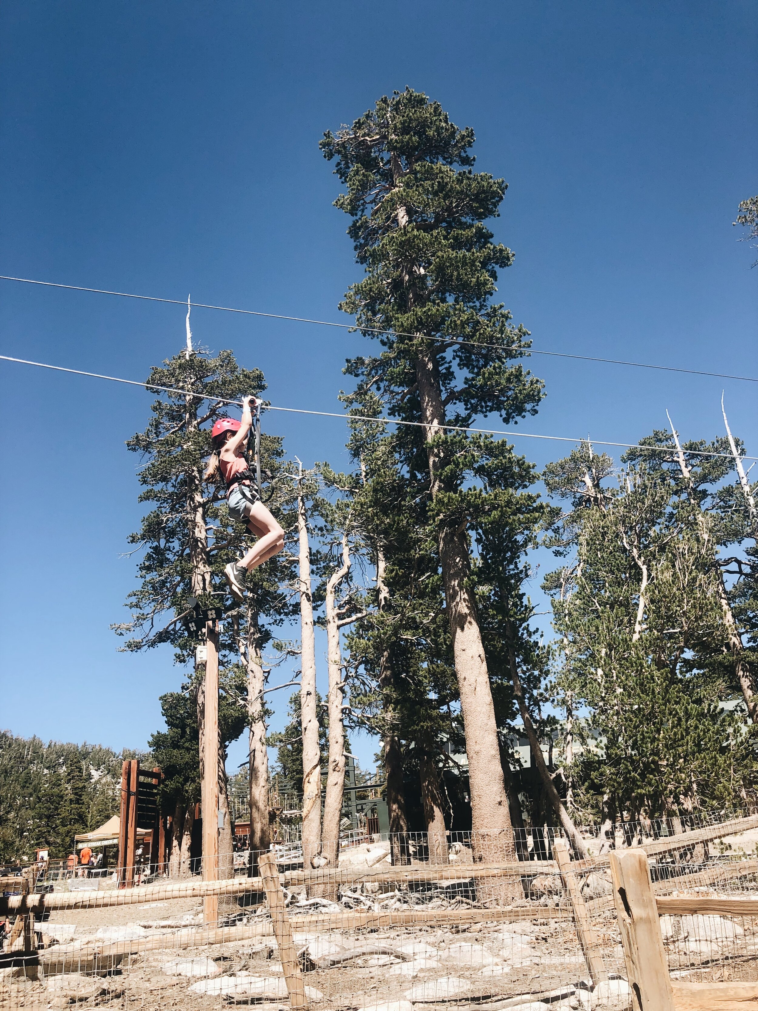 Heavenly Village Zip Wire, Lake Tahoe