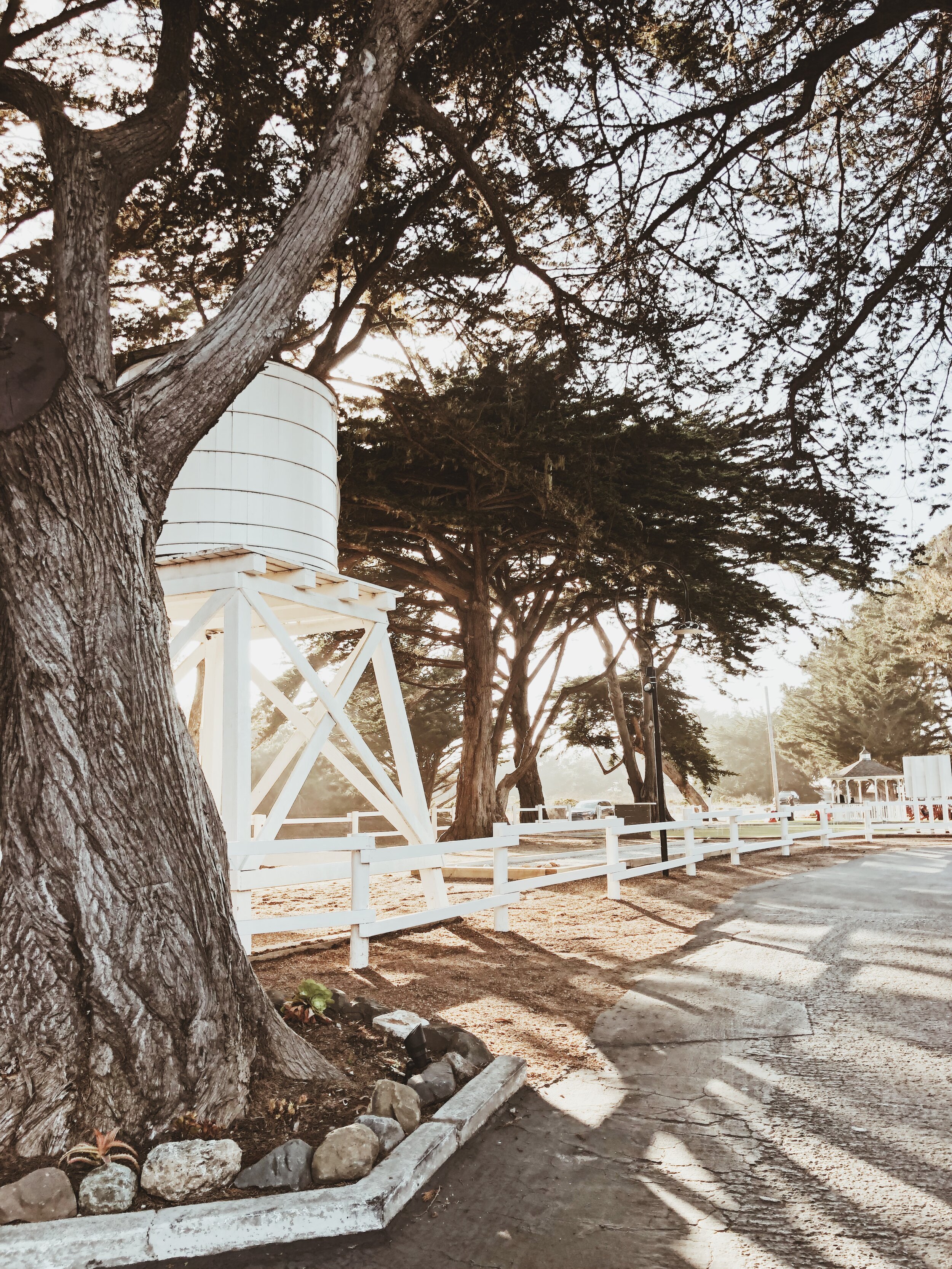 Oceanpoint Ranch, Cambria