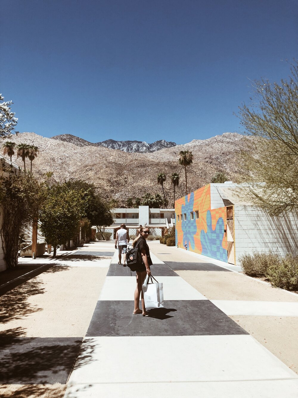 The Ace Hotel, Palm Springs