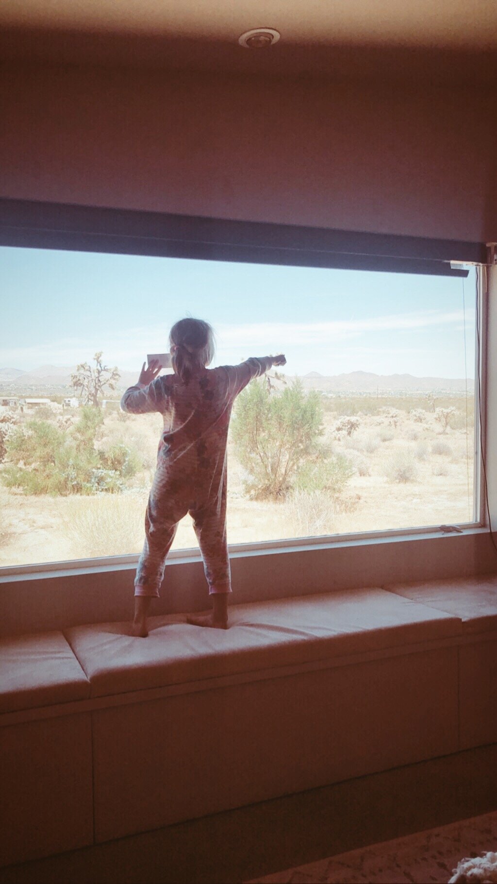 Joshua Tree National Park