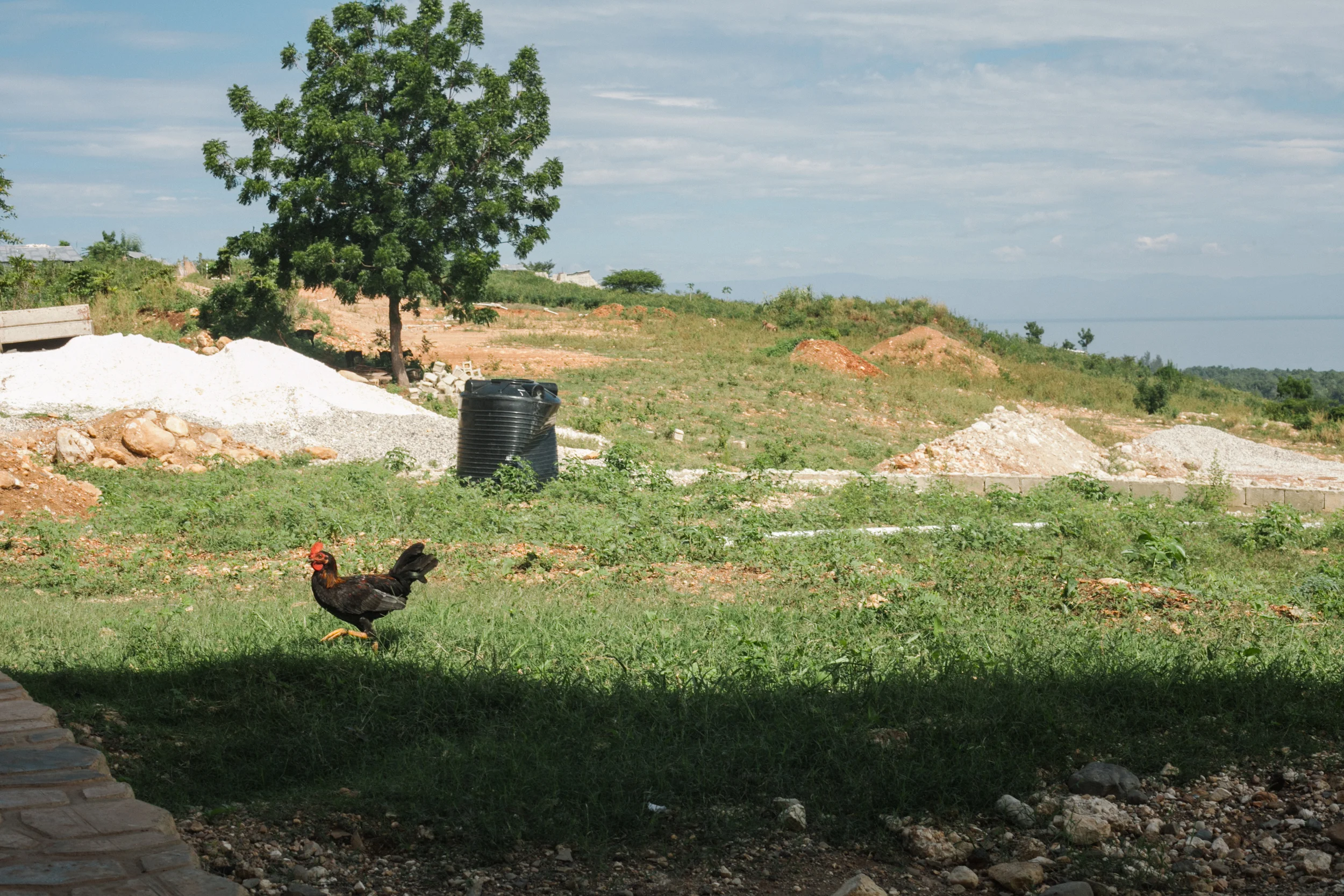 Haiti5starslores004.jpg