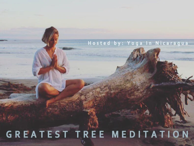 TREE MEDITATION.jpg