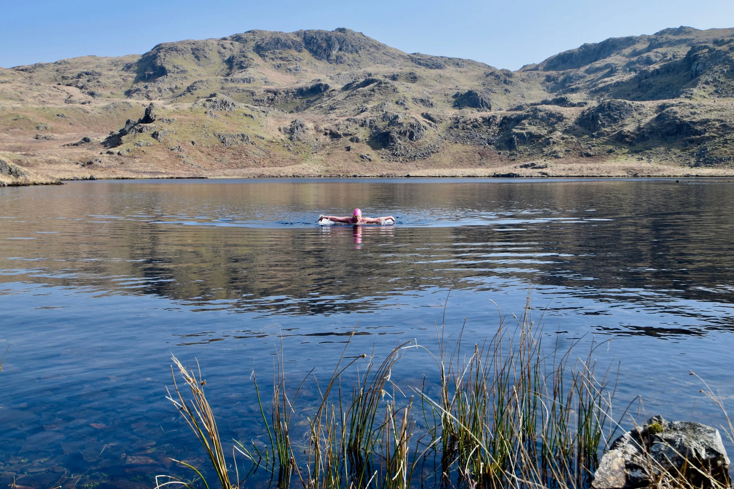 Stony Tarn
