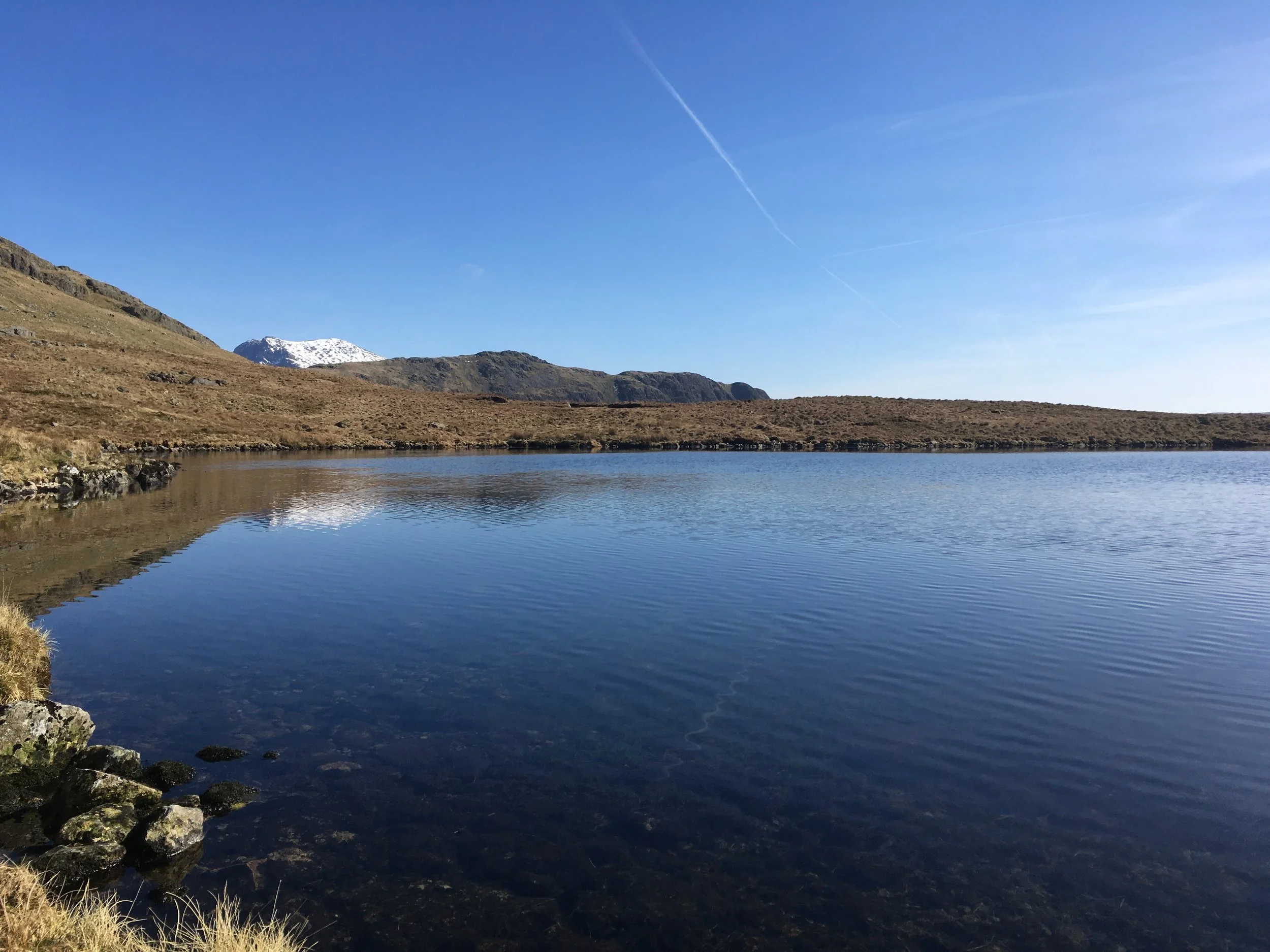 Low Tarn