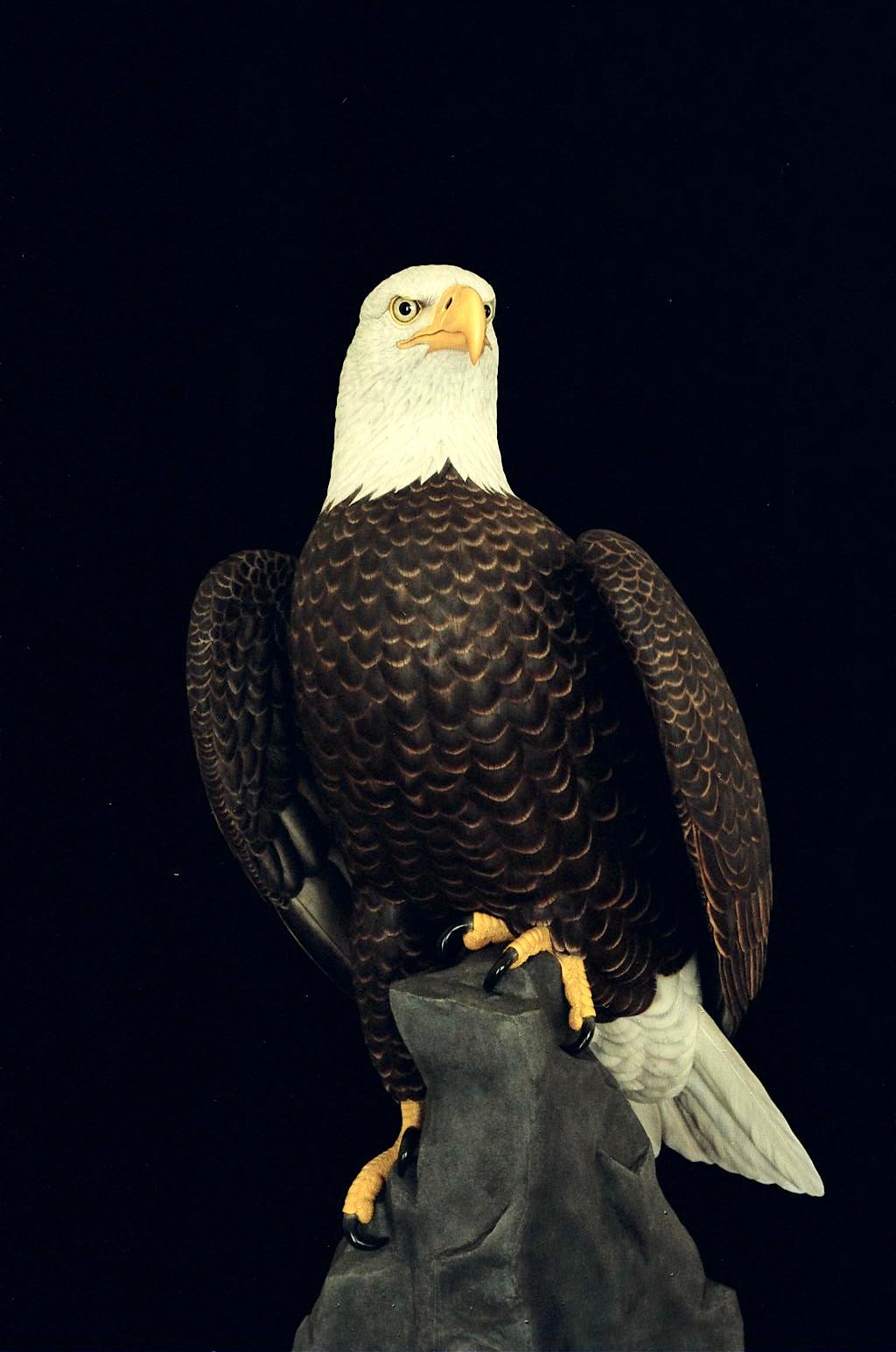 "Purple Mountain Majesty", Bald Eagle, Life-sized, ♂