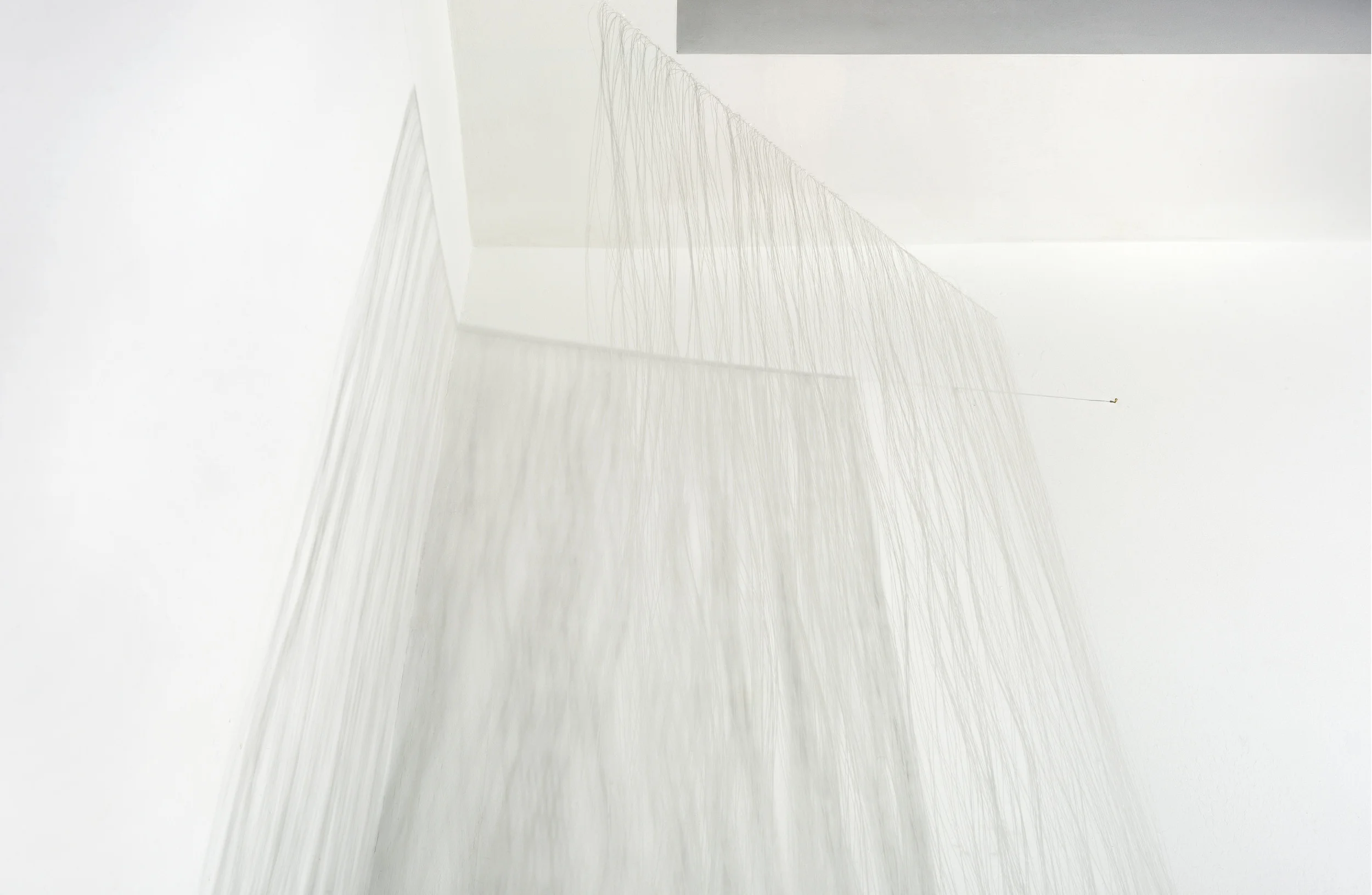 15.fishline detail1.jpg