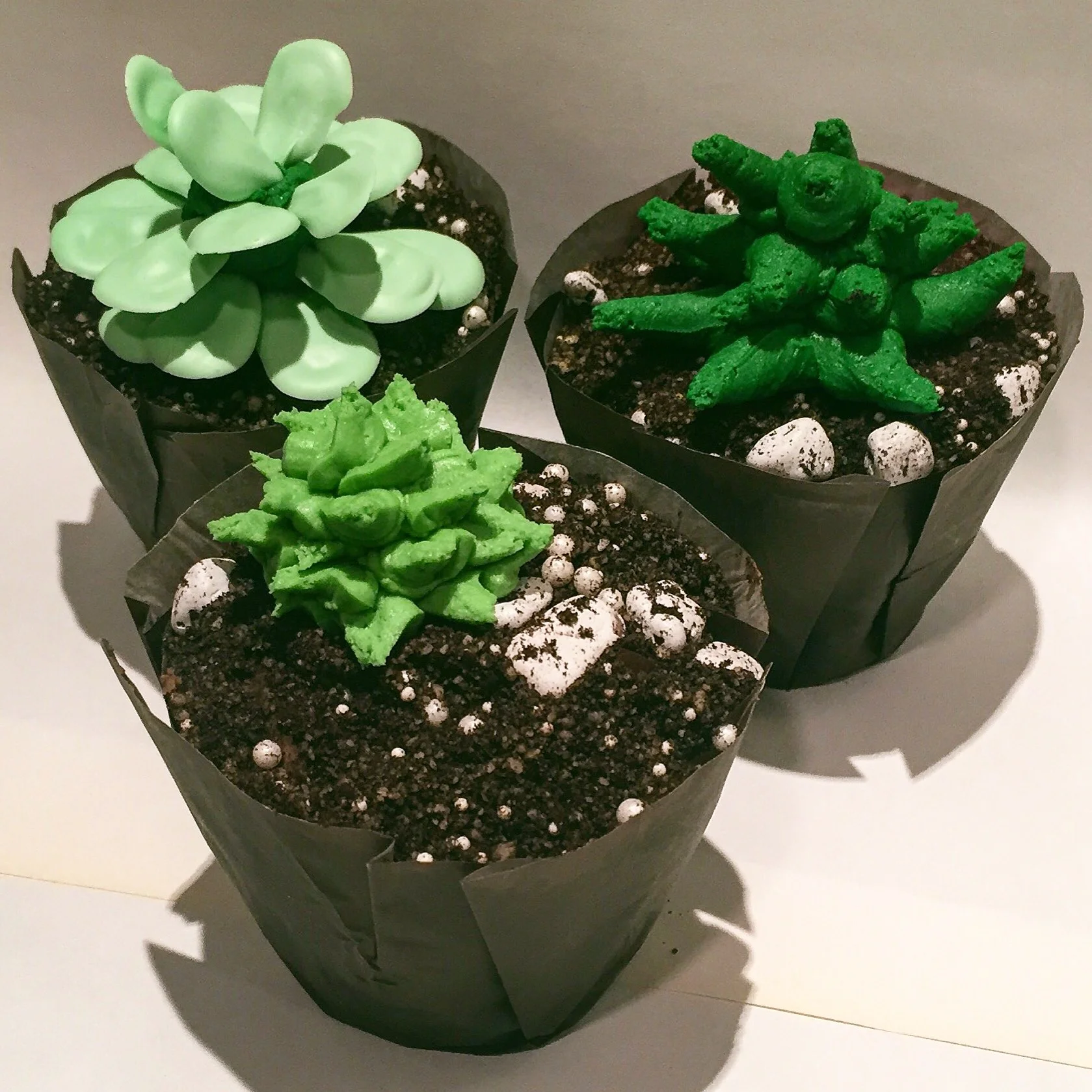 Succulent Cupcakes