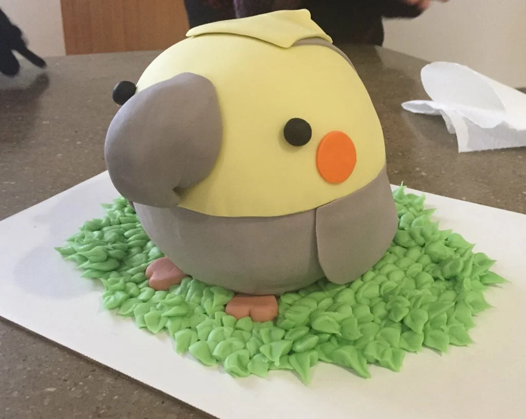 Bird cake