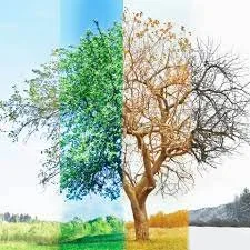 Portland Piano Trio: Celebrating "The Seasons"