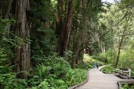 Community Concert: Into the Woods