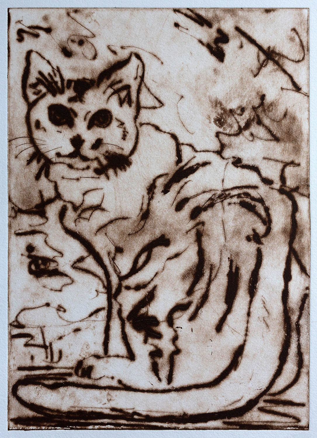 Cat No. 6