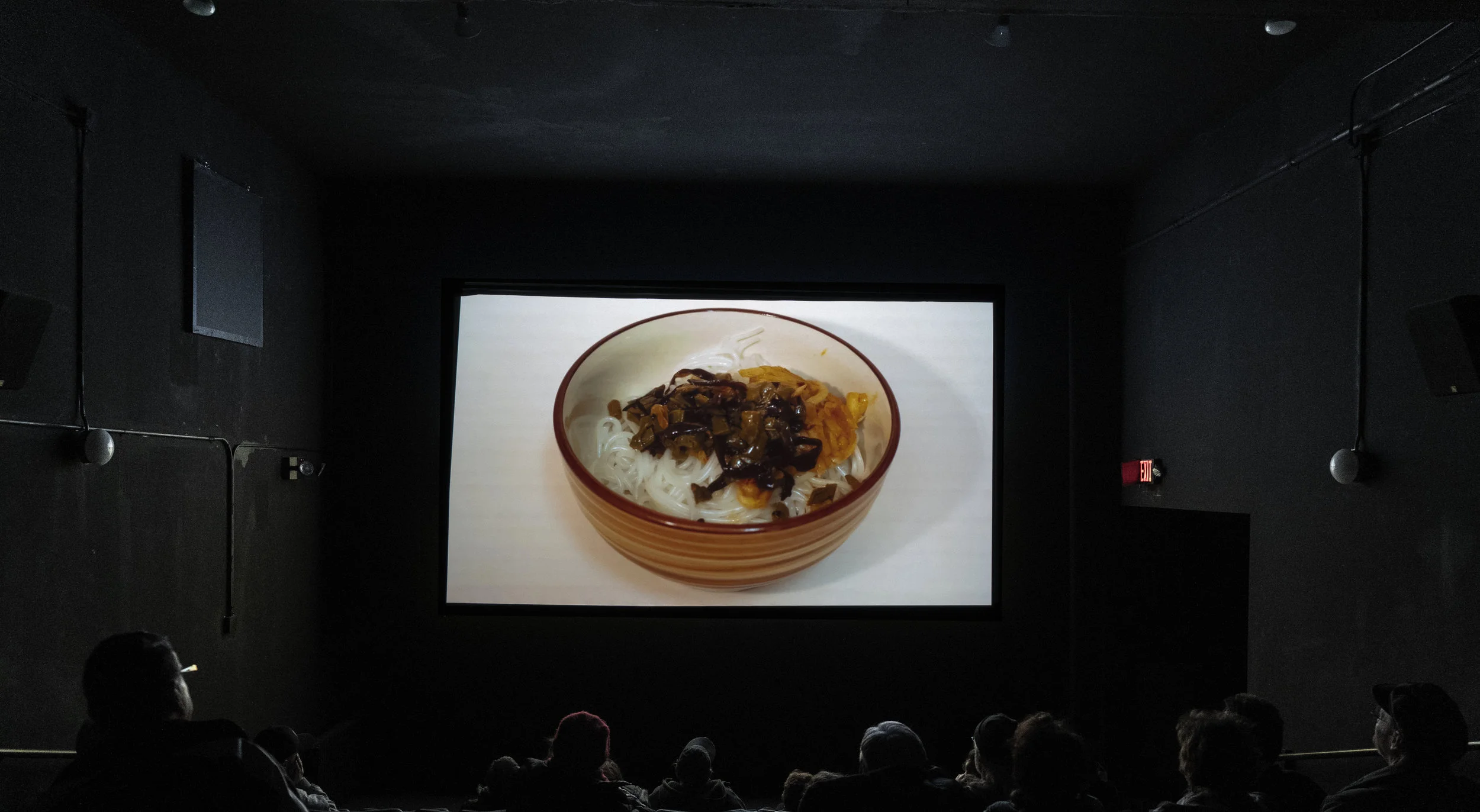 Theatre view, Anthology Film Archives, New York City