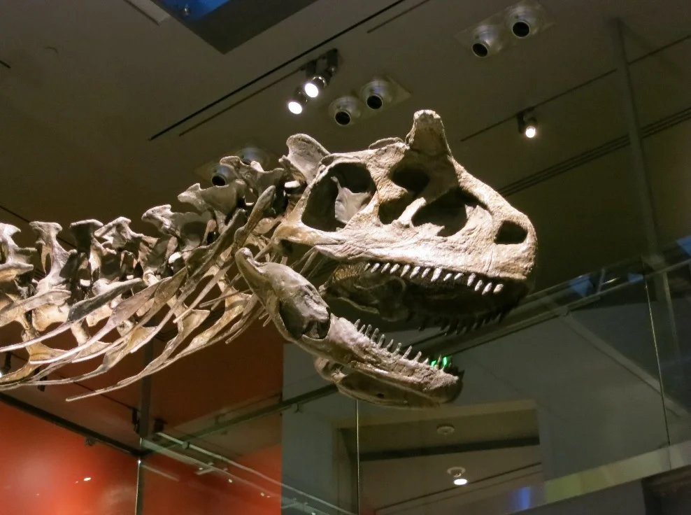 10 Fastest Predatory Dinosaurs