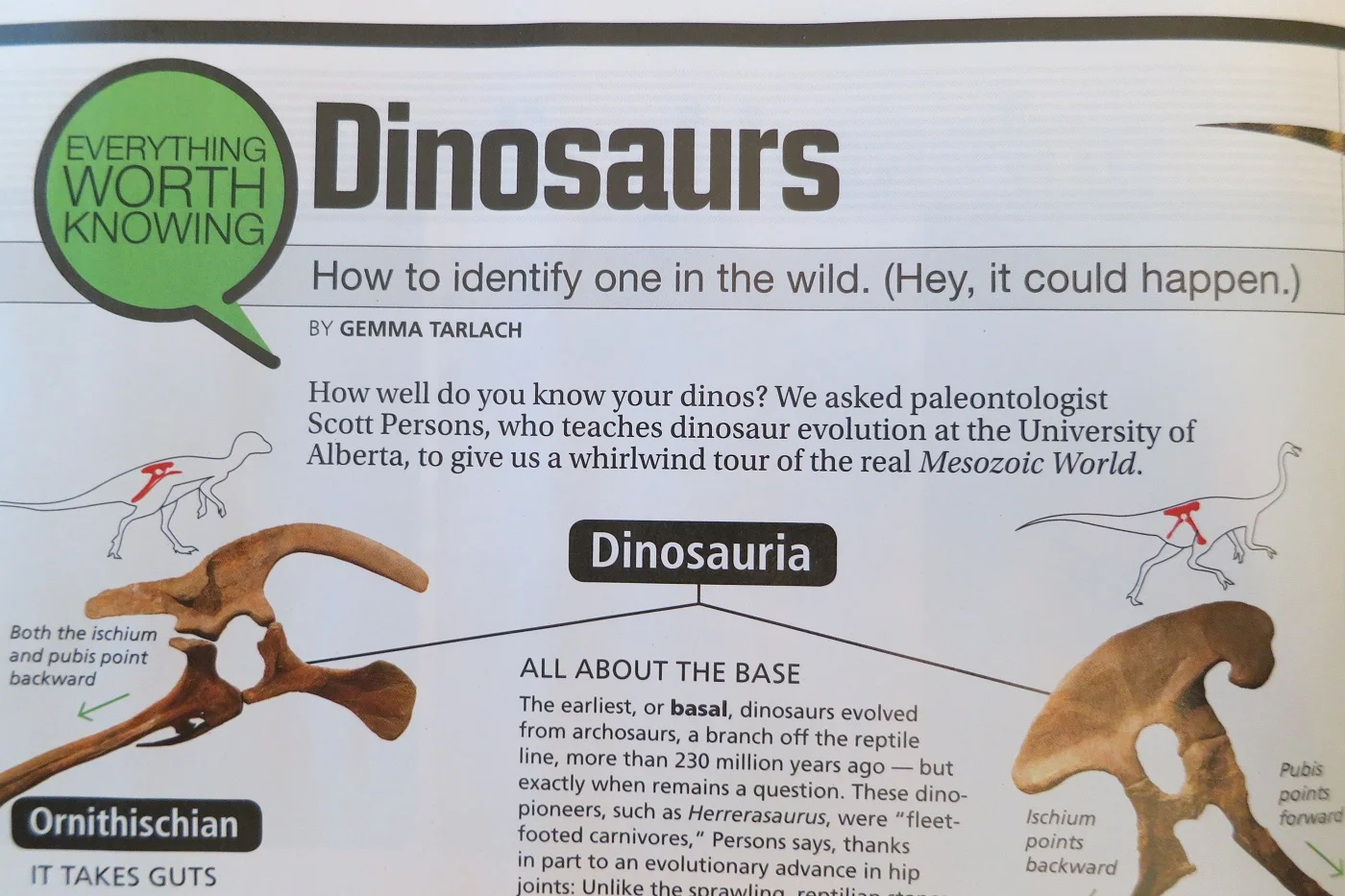 Everything Worth Knowing