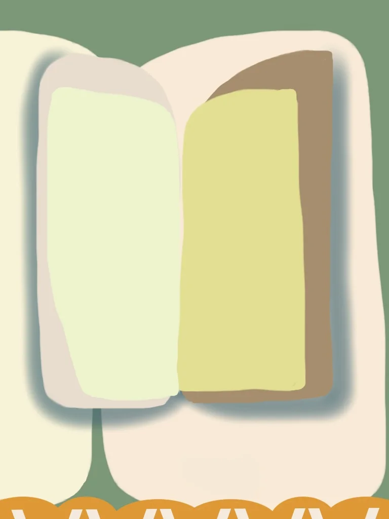 Novel