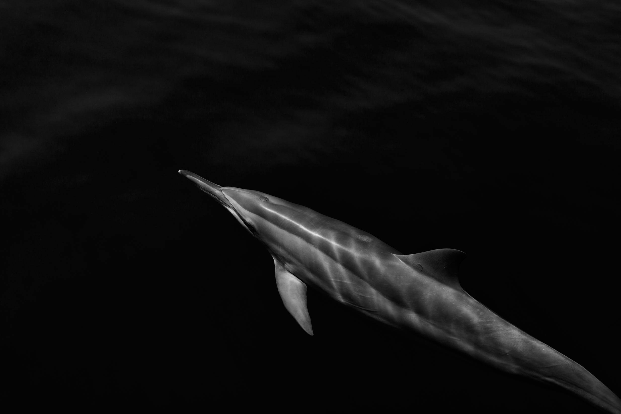 Vanua Levu, Fiji. 2011. 