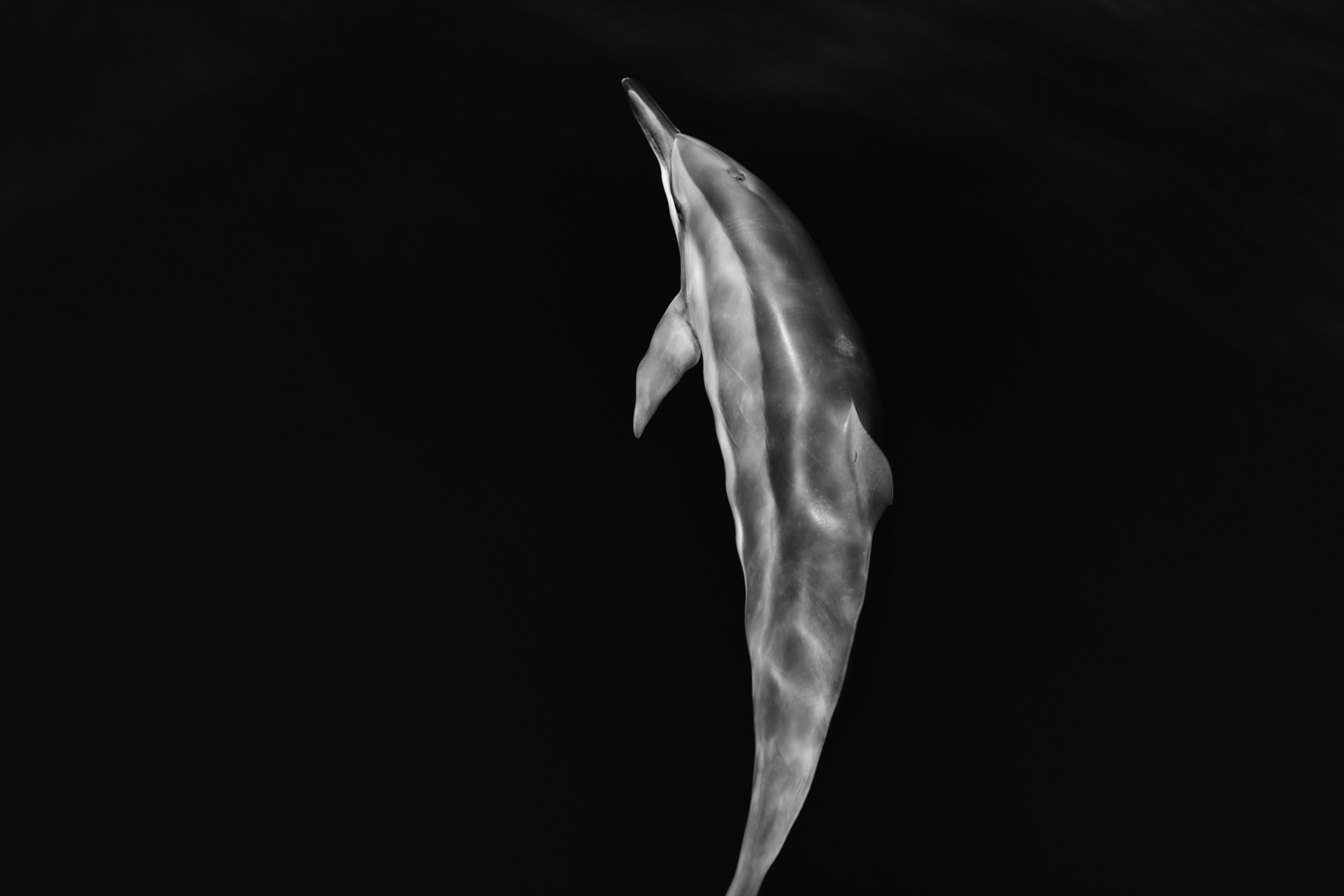 Crescent