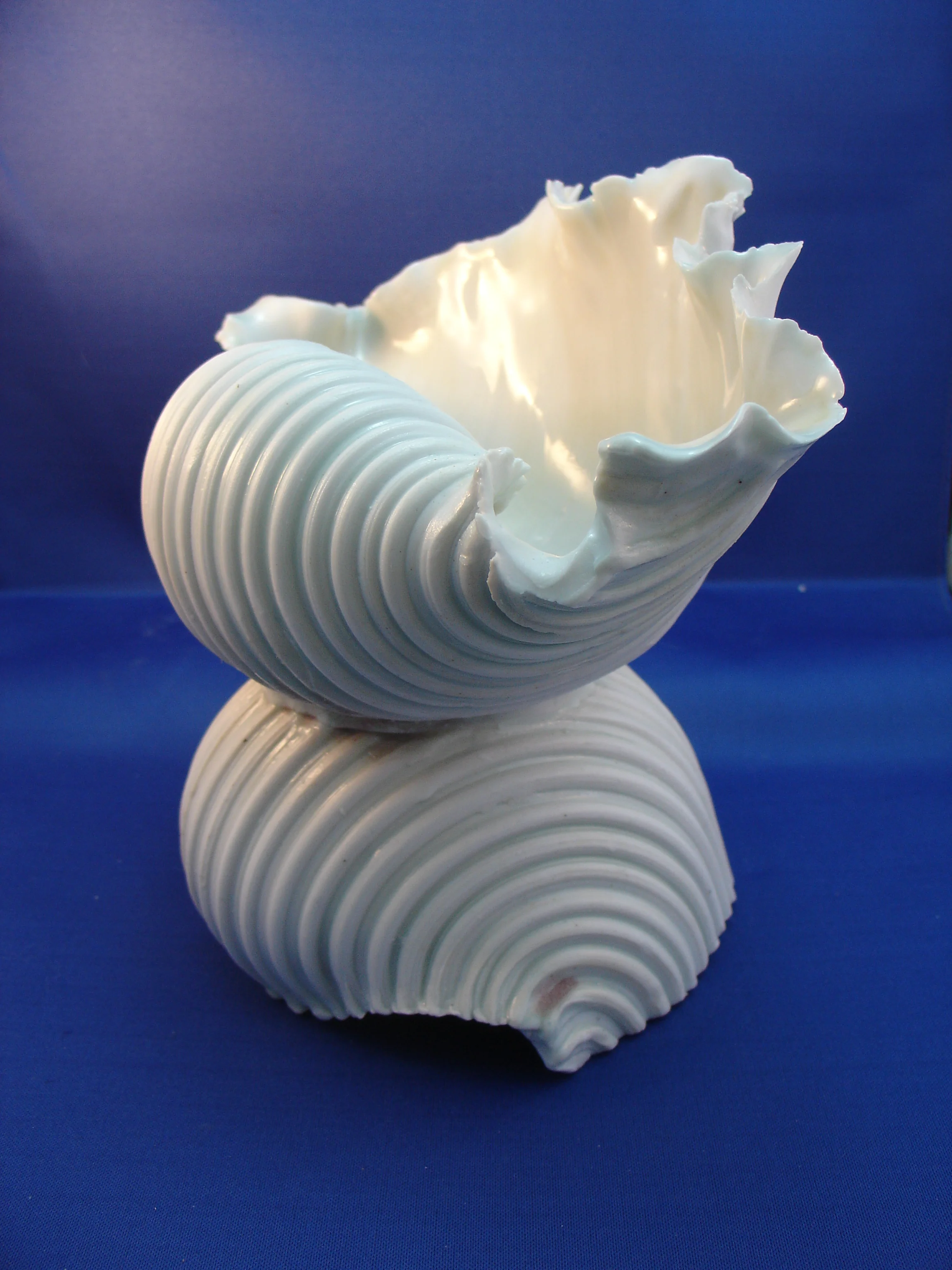 2008 July Shells 187.jpg