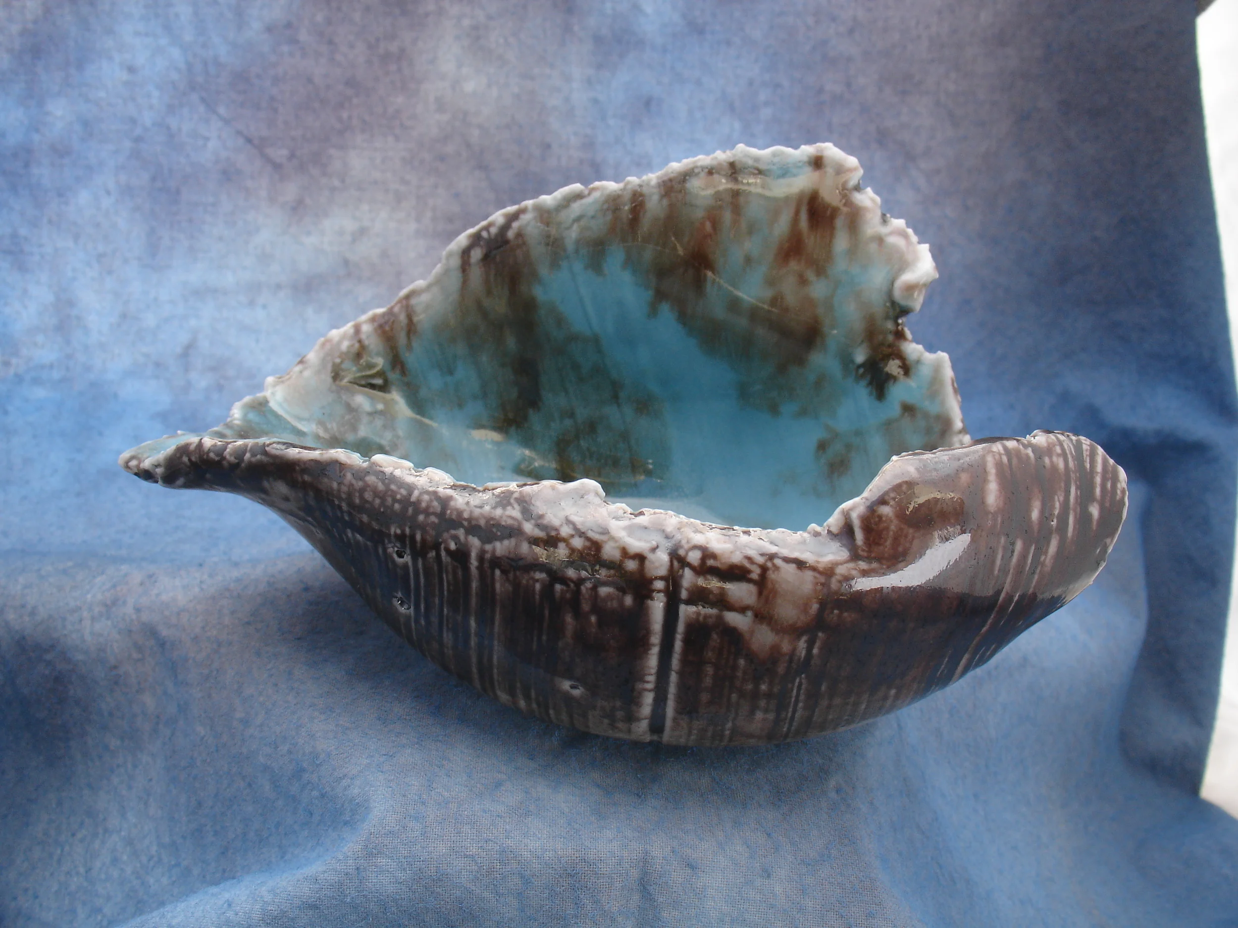 Brown and turquoise shell