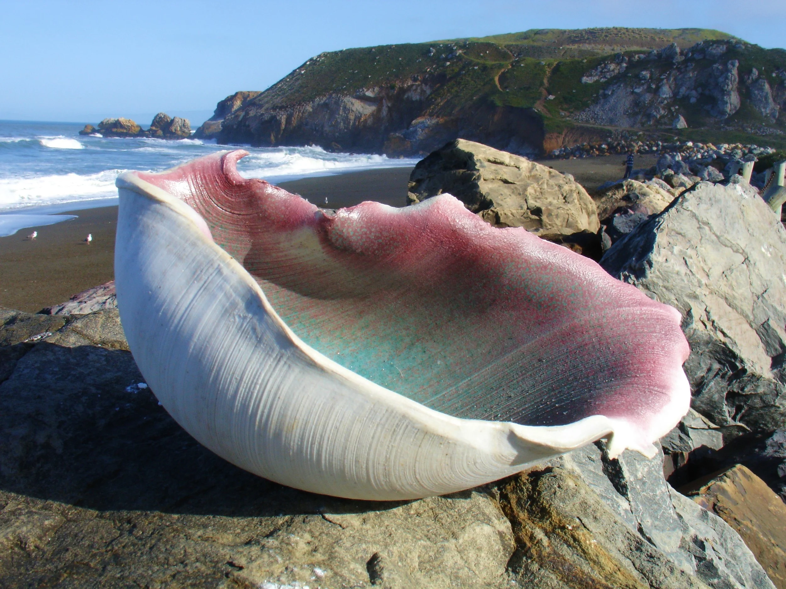 Green and Pink Shell, Salt fired 2005