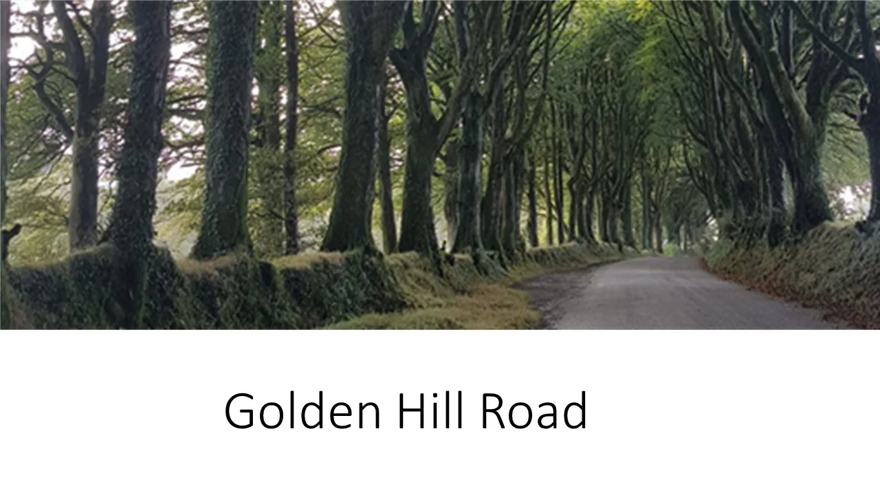 Adopt-A-Street Initiative