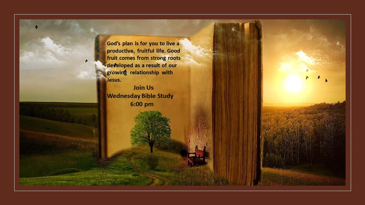 Wednesday Night Bible Study